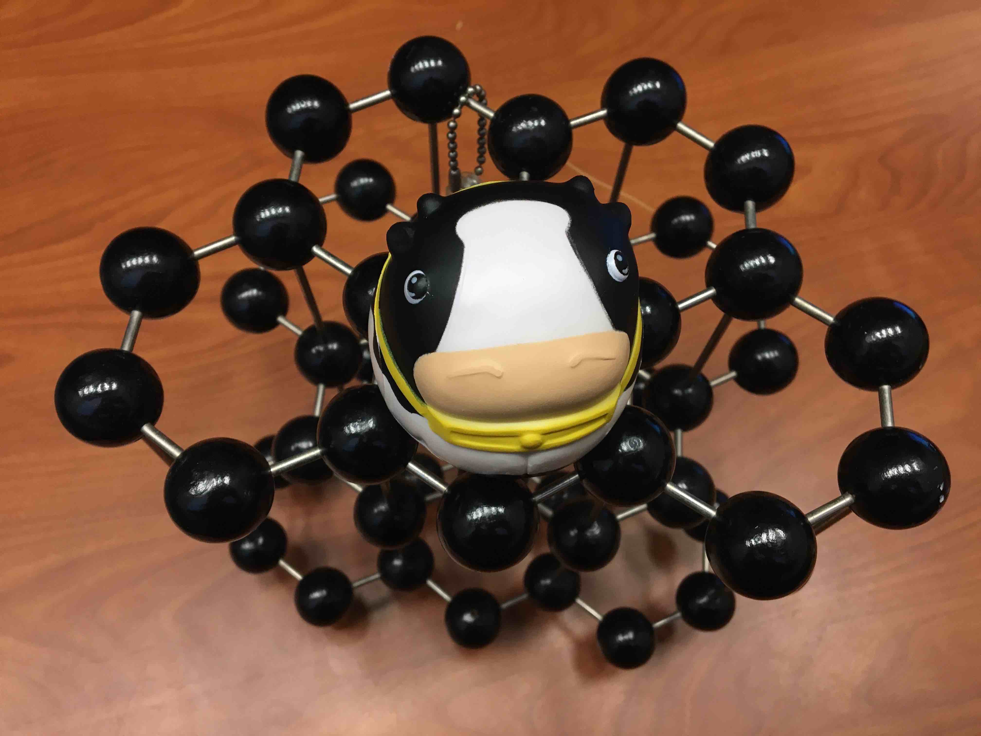 Photo of a spherical cow